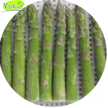 Hot Selling Cheap Organic  Frozen Vegetables Iqf Freezeing Asparagus Tender Deep Green